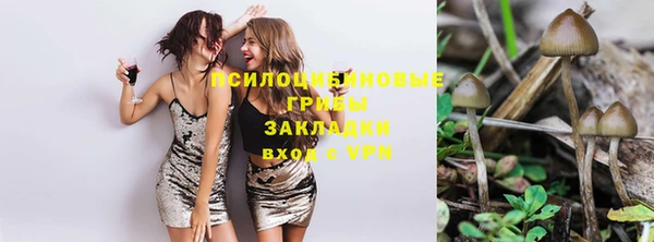 молекула духа Надым