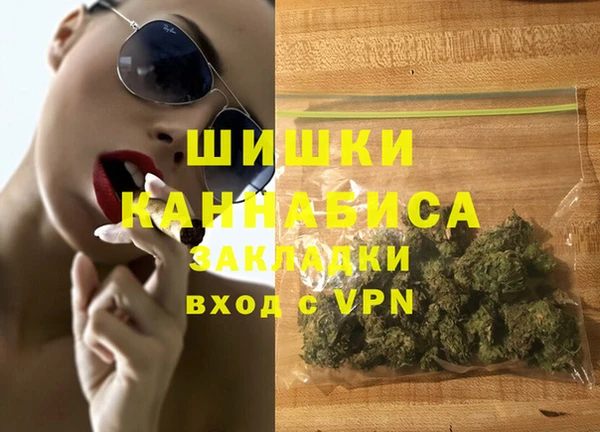молекула духа Надым