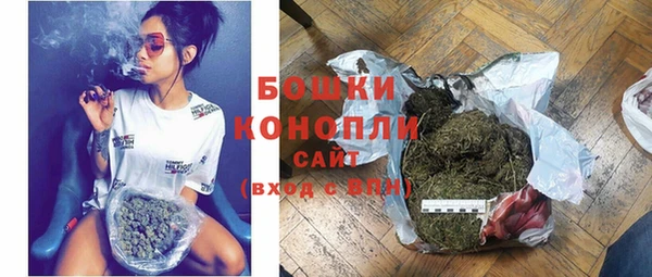 молекула духа Надым