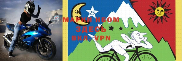 молекула духа Надым