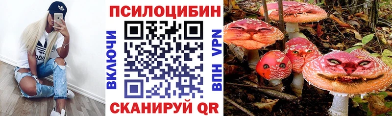 где продают   Мосальск  Псилоцибиновые грибы MAGIC MUSHROOMS 